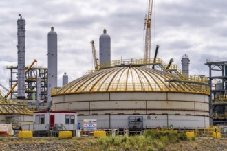 New building, construction site, of a bio-refinery of the Finnish oil company Neste, here, among