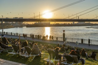 Rhine promenade, city beach, Rhine meadows, banks of the Rhine in the historic city centre of