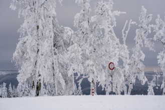 Winter in Sauerland, Hochsauerlandkreis, at Kahler Asten, near Winterberg, few tourists, visitors,