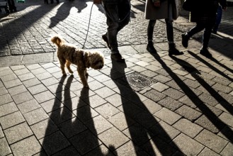 Pedestrians in a pedestrian zone, winter, long shadows, Dortmund, North Rhine-Westphalia, Germany,