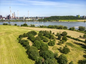 Rhine meadows near Duisburg-Binsheim, Thyssenkrupp steelworks Marxloh, Schwelgern coking plant,