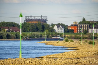 Cargo ship at low water on the Rhine near Duisburg-Homberg, view of Duisburg-Laar, houses on