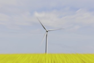 A wind turbine in a rapeseed field, photographed in Vierkirchen, 12/04/2024