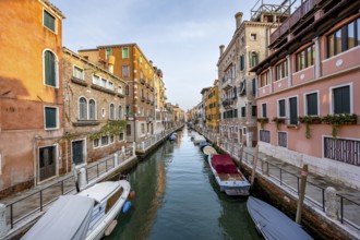 Motorboats and colourful house facades on a small canal, Venice, Veneto, Italy, Europe