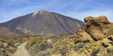 El Teide National Park, behind it the Pico del Teide, 3715m, World Heritage Site, Tenerife, Canary