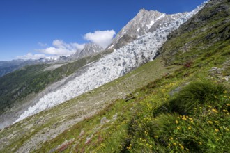 Mountain landscape with glacier Glacier des Bossons and summit of the Aiguille du Midi, Chamonix,