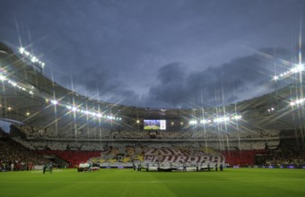 Overview, choreography, choreo, Cannstatter Kurve, fan curve, VfB Stuttgart, atmospheric, Champions