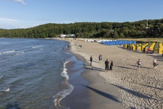 A wide beach with beach chairs and walkers along the coast near a forest, Rügen, Binz