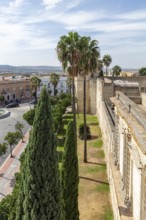 Green garden with cypresses and palm trees along a historic wall, Jerez