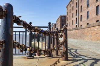 Rusty locks on a fence in front of brick buildings, Liverpool