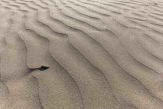 Fine sand moulded by the wind on a beach. Crozon, Finistere, Brittany, France, Europe