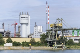 BASF, Lugwigshafen am Rhein, industrial area, Mannheim, Baden-Württemberg, Germany, Europe