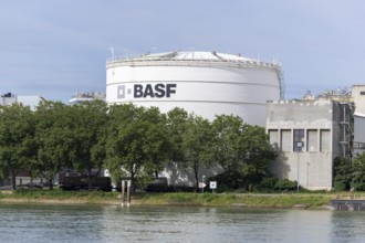 BASF, Lugwigshafen am Rhein, industrial area, Mannheim, Baden-Württemberg, Germany, Europe