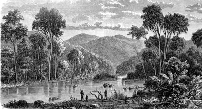 Landscape in the Omeo Mountains in the state of Victoria in Australia, 1880, Historical, digital