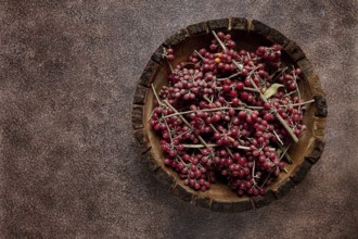 Shtoshi berry, Shepherd's pie, a hybrid of sea buckthorn and barberry, top view, no people