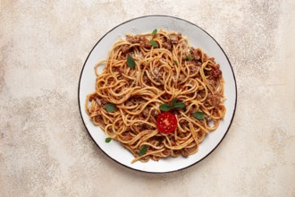 Spaghetti Bolognese, top view, close-up, no people, homemade