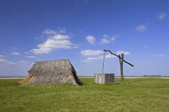 Draw well and reed hut at Neusiedler See, Austria, Europe