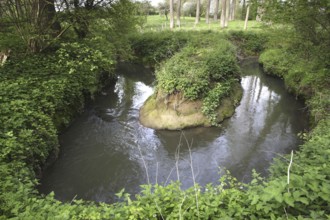 Winding river in forest, Belgium, Europe