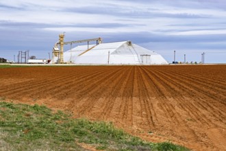 Storage facility, warehouse and elevator for peanuts in Texas, United States, USA, North America