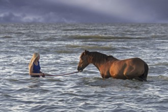 Horsewoman, female horse rider bathing, paddling with horse in shallow water on the beach in summer