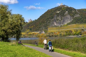 Cycle path on the Drachenfels, a mountain in the Siebengebirge on the Rhine between Bad Honnef and