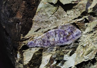 Minerals in the rock of the visitor gallery of the Steinkaulenberg gemstone mines, show mine in