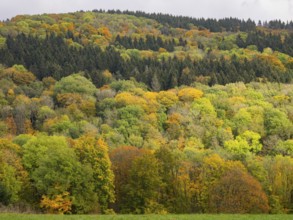 View of mixed woodland in autumn colour, in the Rhön UNESCO Biosphere nature reserve, county