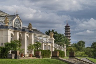 Temperate House, the largest Victorian greenhouse in the world, with the historic Great Pagoda in