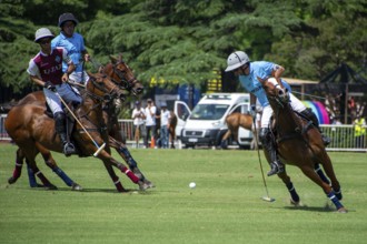 Scene from the 131st Argentine Open Polo Championship (Spanish: Campeonato Argentino Abierto de