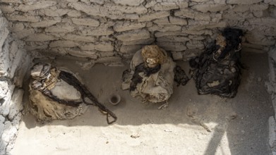 Tomb with mummies, Chauchilla Cemetery, Nazca, Peru, South America