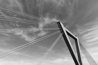 Pylon of the airport bridge, motorway bridge A44 over the Rhine, cable-stayed bridge, opened 2022,