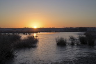 Blänke on a wet meadow, at frost, sunrise, morning, NSG Dingdener Heide, North Rhine-Westphalia,