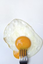 Fried egg, fried egg with fork