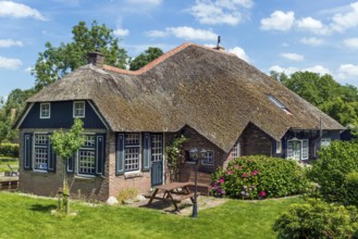 Thatched roof house, house, farmhouse, village, rural, flowers, well-kept, blue sky, architecture,