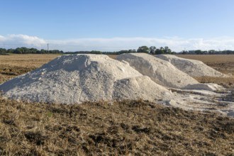 Piles of lime calcium carbonate in field for liming farmland soil, Suffolk, England, UK