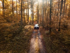 Car on a road in an autumnal forest with bright sunlight, electric car, VW ID5, Gechingen, Black