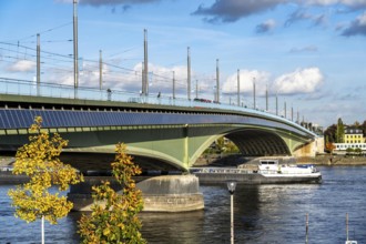 The Kennedy Bridge, the middle of Bonn's 3 Rhine bridges, connects the centre of Bonn and the