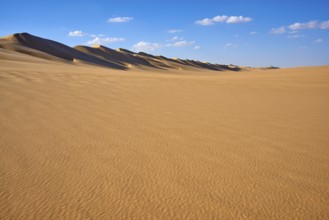 Wide desert landscape with gentle sand dunes under a blue sky with scattered clouds, Matruh, Great