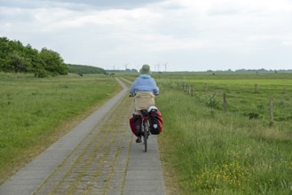 Cyclist, Weser cycle path, Wurster Land, Lower Saxony, Germany, Europe