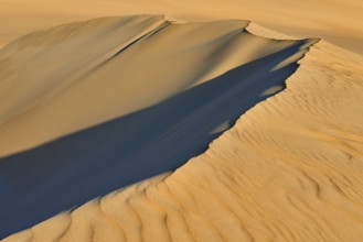 Sand dunes in a desert with distinct shadows and wave patterns in the sunlight, Matruh, Great Sand