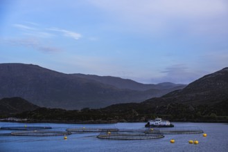 Sunset over Salmon farm in Norway, Innvikfjorden, Olden, Norway, Europe