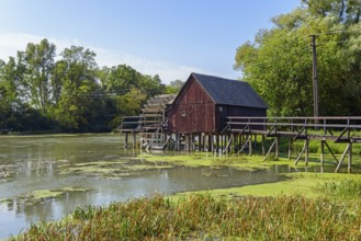 Wooden house on stilts on the banks of the Little Danube and reeds in the foreground, water wheel