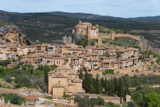 Medieval village with an impressive castle on a hill surrounded by green nature, collegiate church