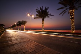 Night shot, Crescent Road, street, The Boardwalk Palm Jumeirah, palm trees, light trails, traffic,