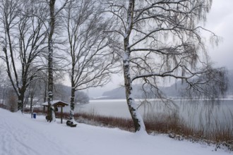 Landscape with snow at the Hennesee, Hennetalsperre, Naturpark Sauerland-Rothaargebirge, Meschede,