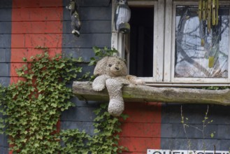 Teddy bear sitting in front of a window, Siegen, North Rhine-Westphalia, Germany, Europe