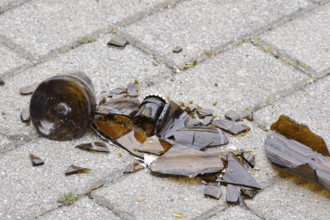 Broken bottle, broken glass, danger to passers-by and cyclists, Saxony, Germany, Europe