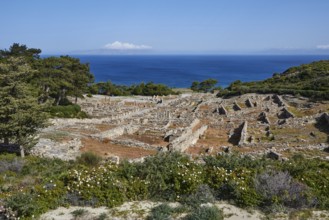 Ruins of an ancient city overlooking the sea, surrounded by vegetation under a blue sky, Kamiros,