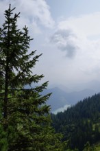 Mountain world at Walchensee, end of August, Bavaria, Germany, Europe