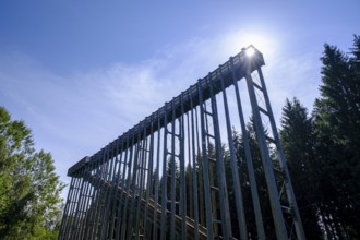 Sky ladder on the Schremser Hochmoor, municipality of Schrems, Waldviertel, Lower Austria, Austria,